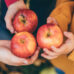 Closeup of hands holding three red apples