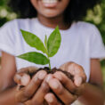 Young adult holding a plant outside