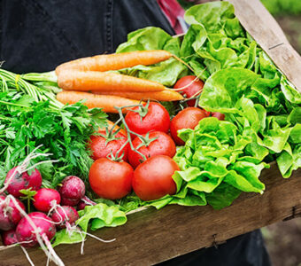 Person holding wooden container full of vegetables just picked from a garden