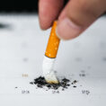 Person pushing cigarette end into a calendar