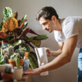 young adult watering plants inside