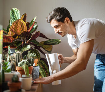 young adult watering plants inside