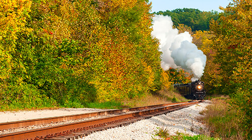 Train in Fall Foliage