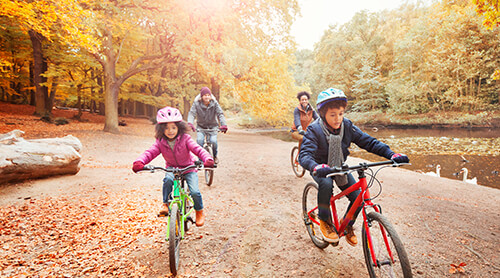 Family Biking through Fall Forest