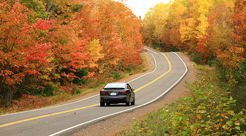 Car Driving through Fall Foliage