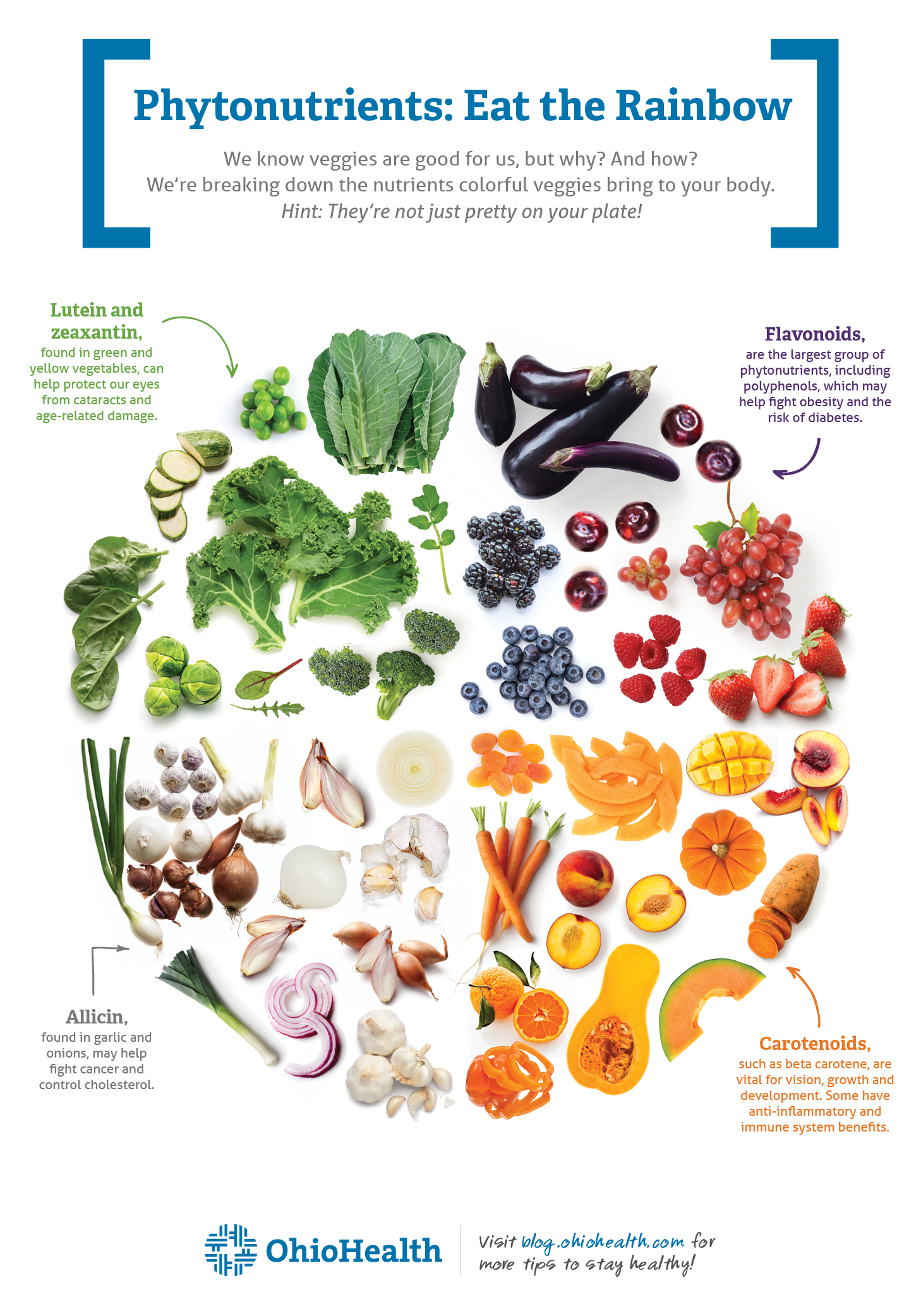 Infographic depicting a variety of fruits and vegetables and the phytonutrients they contain