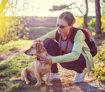 Woman on hike checking for ticks on dog